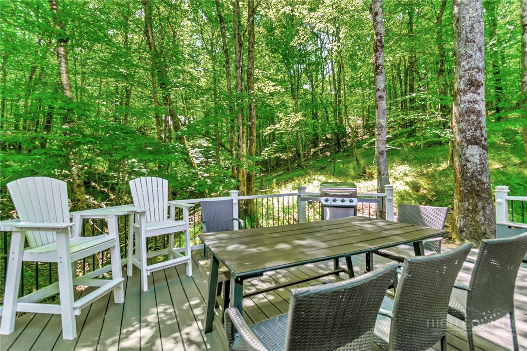 Residential in Beech Mountain 5