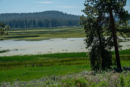 12211 Military Rd, Chemult, OR, 97731 | Card Image