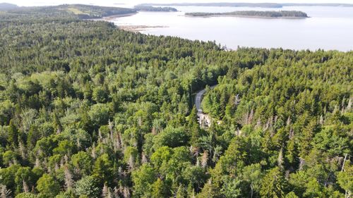 M6L21 Great Cove Rd, Machias, ME, 04654 | Card Image