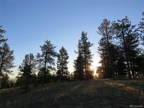 9389 Ranch Rd, Hartsel, CO, 80449-8568 | Card Image