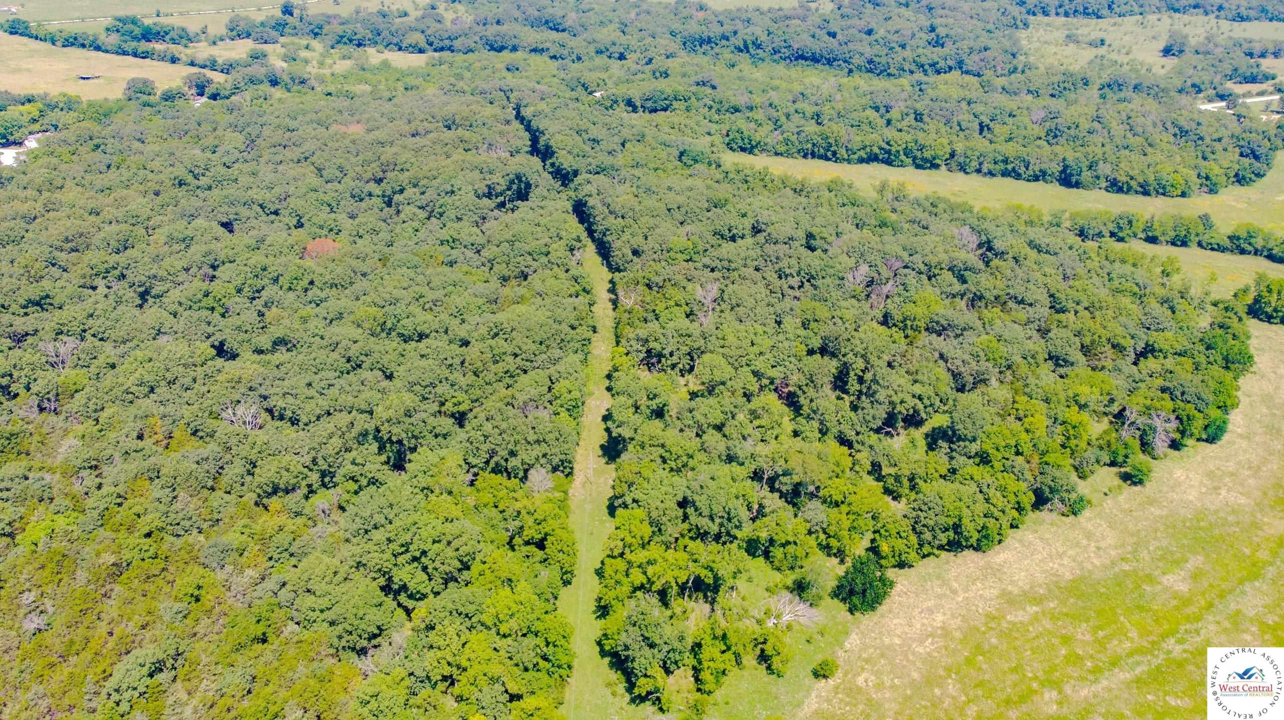 Land in Osceola 3