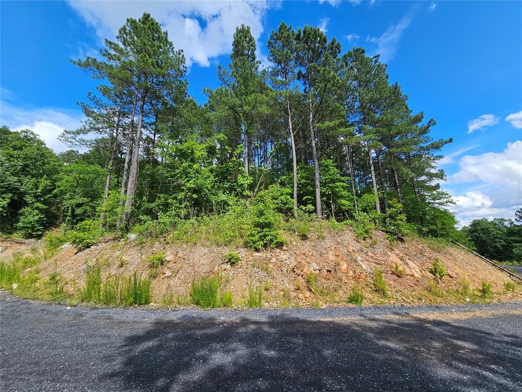 Land in Broken Bow 4