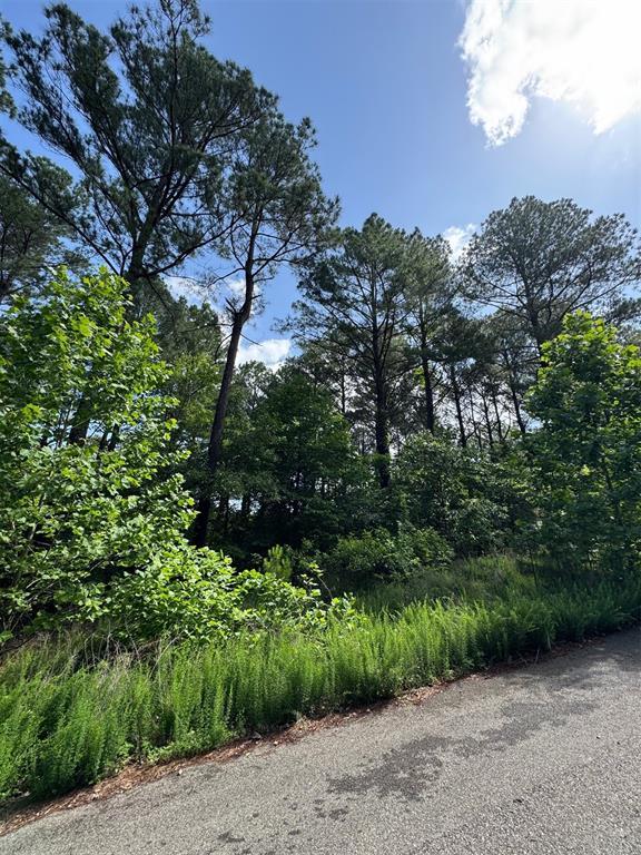 Land in Broken Bow 4