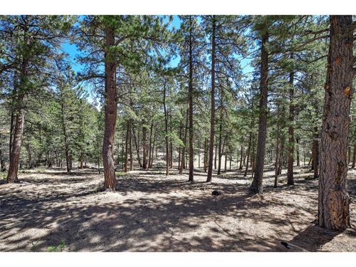 860 Spring Valley Dr, Divide, CO, 80814-9619 | Card Image