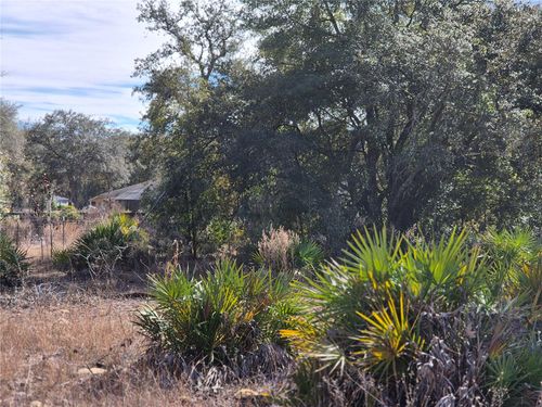 00 Ne 78th Ln, BRONSON, FL, 32621 | Card Image