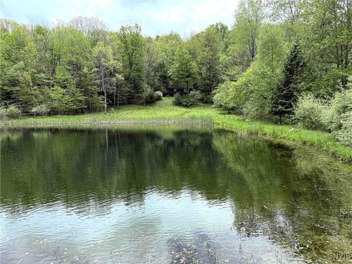 3304 County Route 22, Cameron Mills, NY, 14820-9617 | Card Image