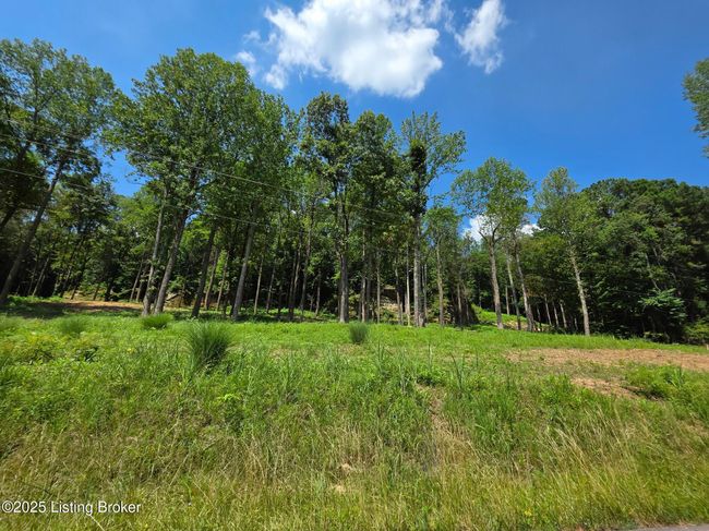 1 Cave Creek Rd, Home with 0 bedrooms, 0 bathrooms and null parking in Falls Of Rough KY | Image 5