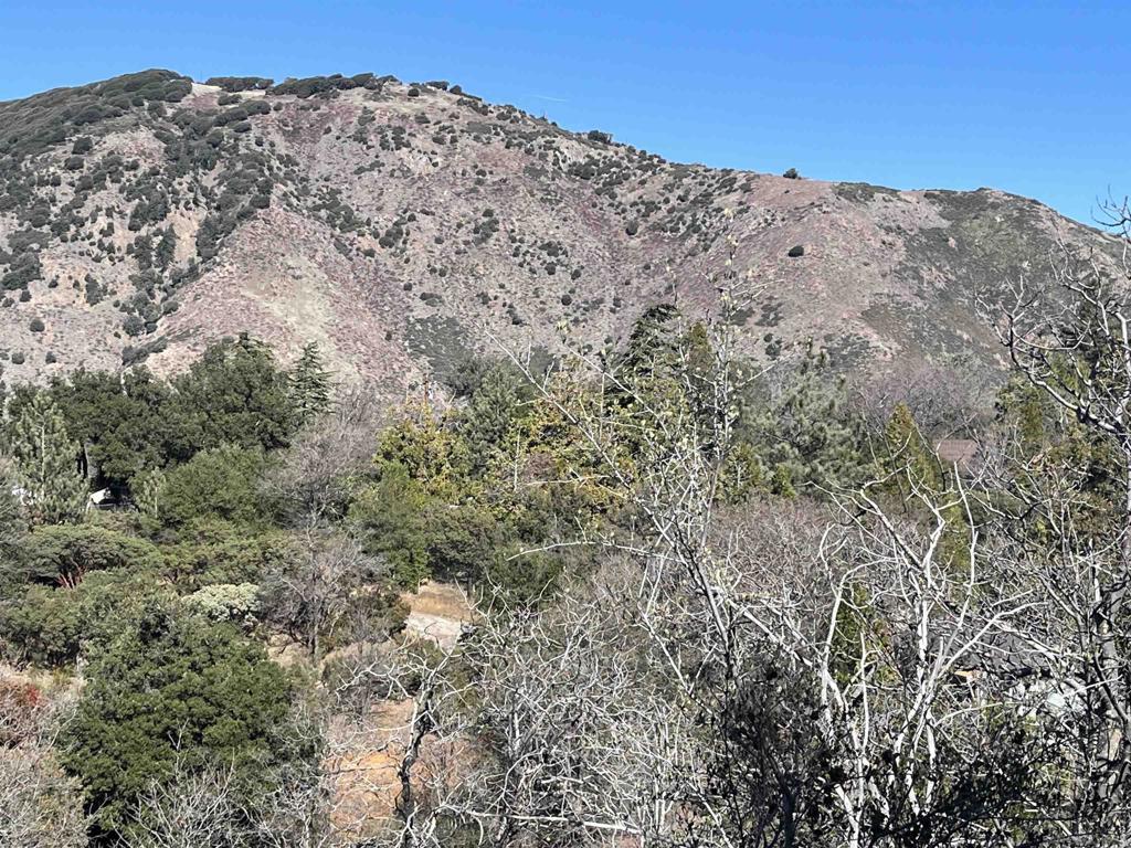 Land in Julian 4
