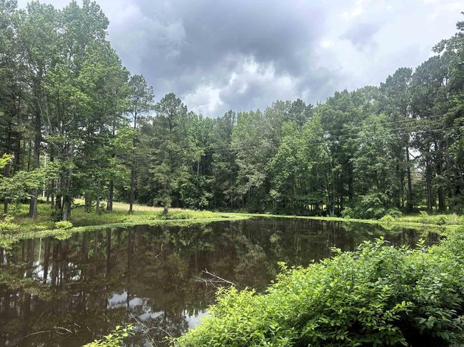 0 E Center St, Home with 0 bedrooms, 0 bathrooms and null parking in Sheridan AR | Image 7