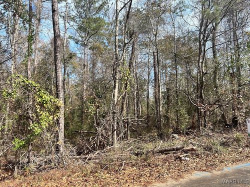 0 Wood Valley Rd, Greenville, AL, 36037 | Card Image