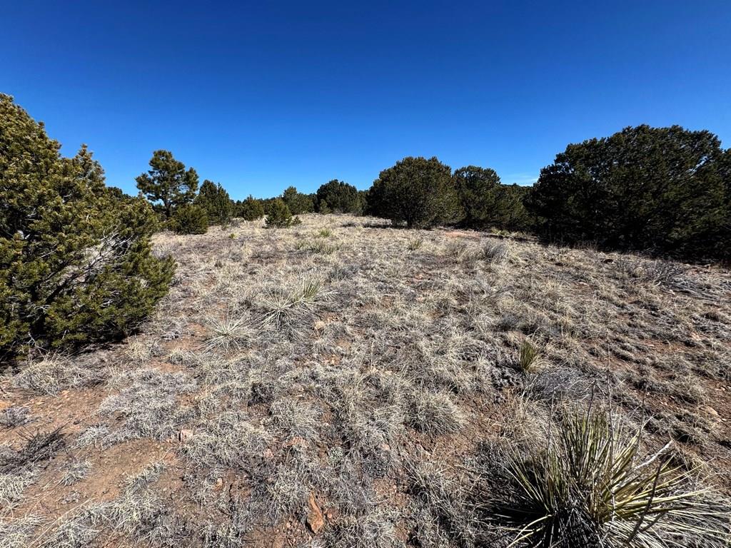Land in Westcliffe 2