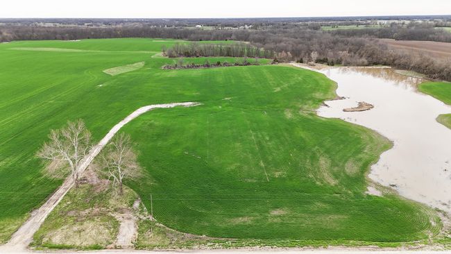 Aerial View | Image 16