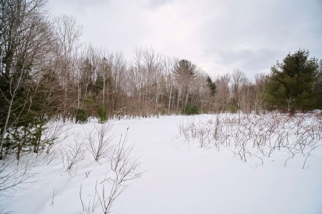 Property views | Image 48