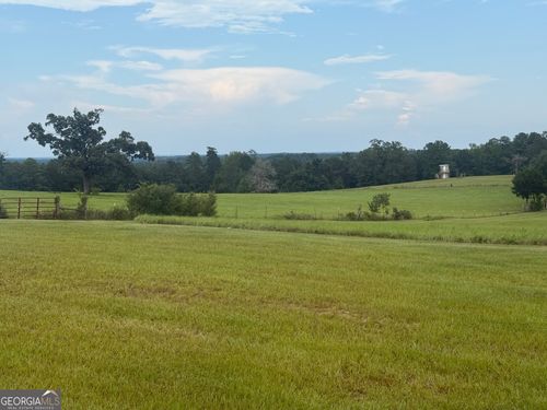 0 County Road 79 S, Eufaula, AL, 36027 | Card Image