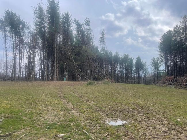 0 Don Wiley Rd, Home with 0 bedrooms, 0 bathrooms and null parking in Caldwell OH | Image 24