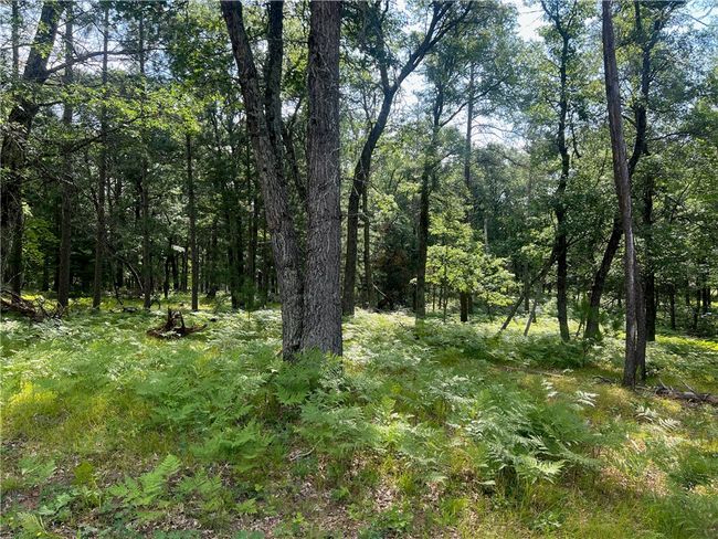 216 Deerpath Pass, Home with 0 bedrooms, 0 bathrooms and null parking in Danbury WI | Image 14