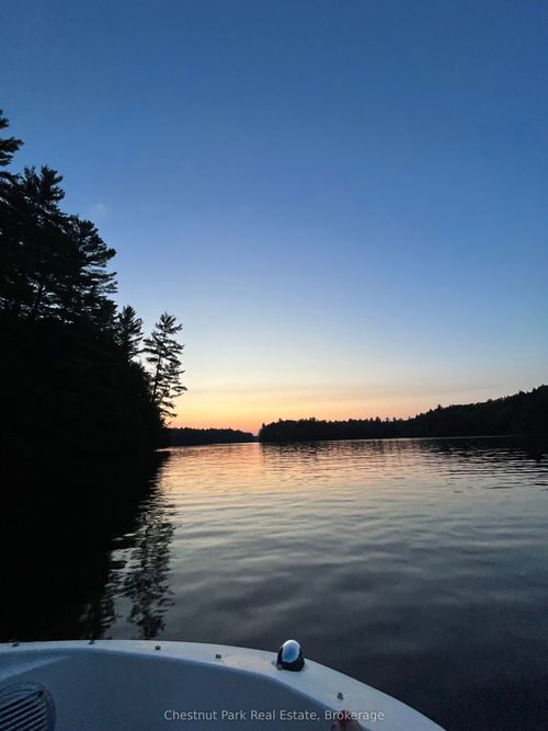 431 Webster'S Lane, Georgian Bay, ON, P0C1H0 | Card Image