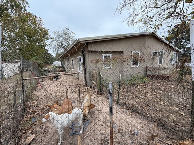 Dog run | Image 11