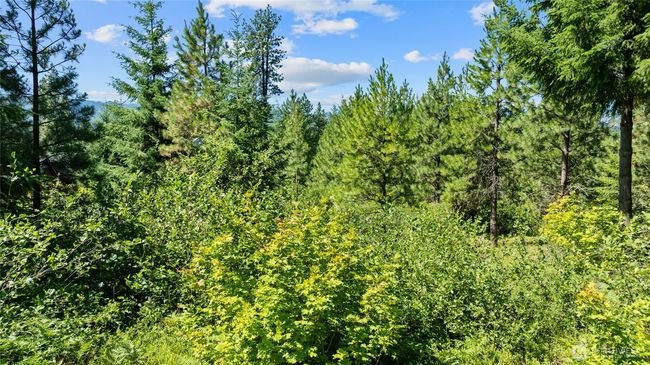 3690 Swiftwater Dr, Home with 0 bedrooms, 0 bathrooms and null parking in Cle Elum WA | Image 5