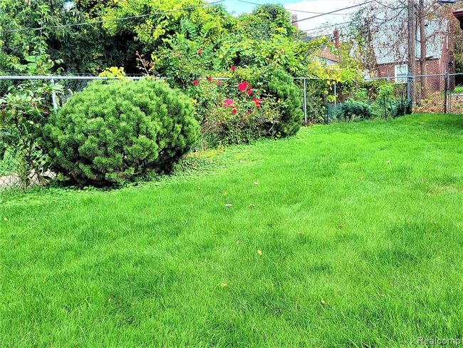 Large fenced yard | Image 38