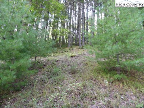 TBD Woodlands Dr, Piney Creek, NC, 28663 | Card Image