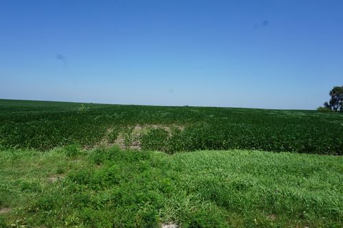 Vacant E 1600n Road, Roberts, IL, 60962 | Card Image