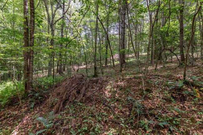 26.18 AC Green Road, Home with 0 bedrooms, 0 bathrooms and null parking in Young Harris GA | Image 9
