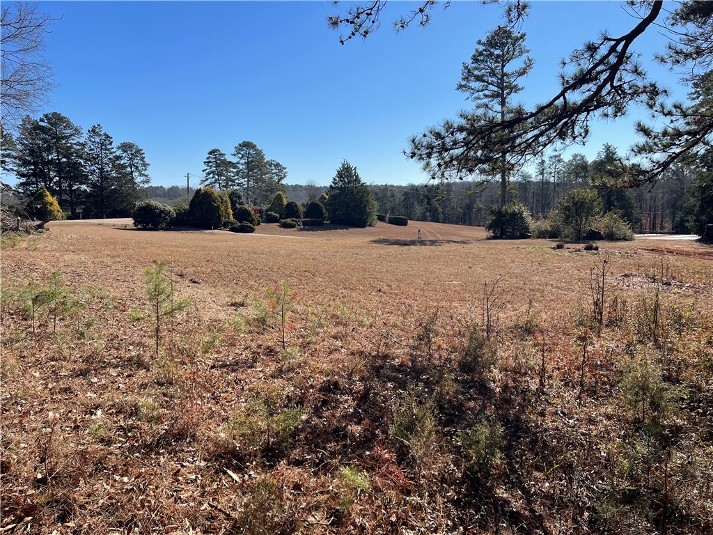Land in Anderson 3