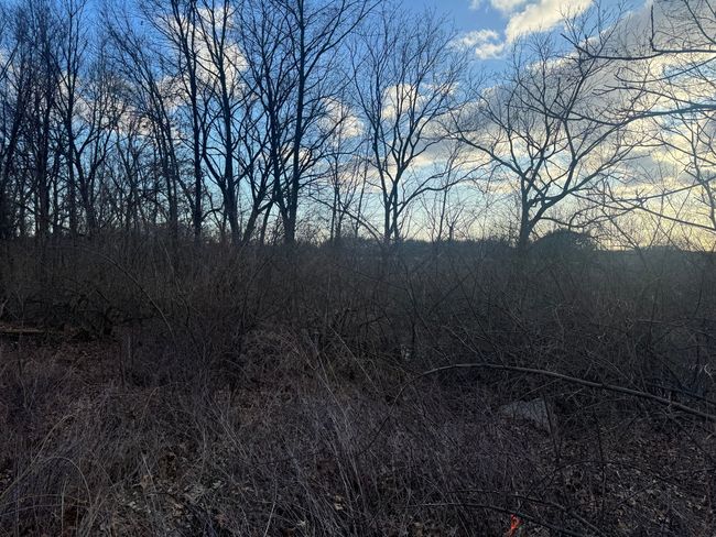 000 Daymon Dr, Home with 0 bedrooms, 0 bathrooms and null parking in Gregory MI | Image 5