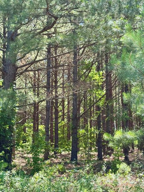00 Sheppard Road, Tennille, GA, 31089 | Card Image