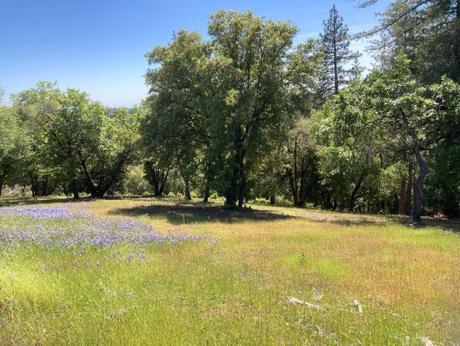 16688 Sonshine Ln, Home with 0 bedrooms, 0 bathrooms and null parking in Sutter Creek CA | Image 51