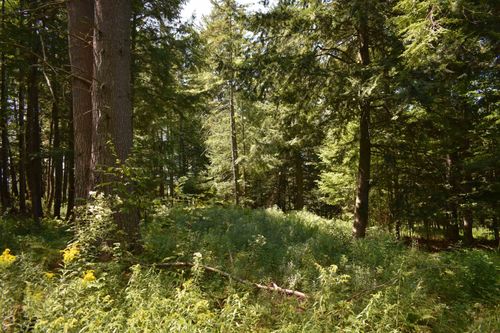 0 Jacobs Rd, Montpelier, VT, 05602 | Card Image