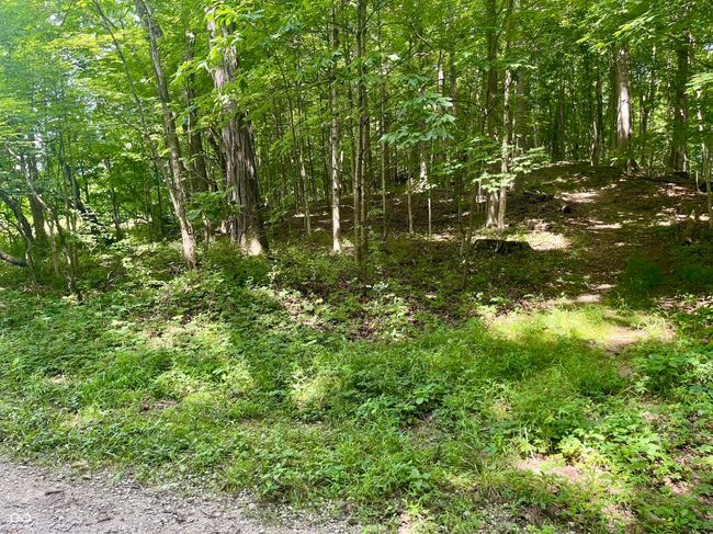 00 N 800 Th E, Home with 0 bedrooms, 0 bathrooms and null parking in Roachdale IN | Image 5