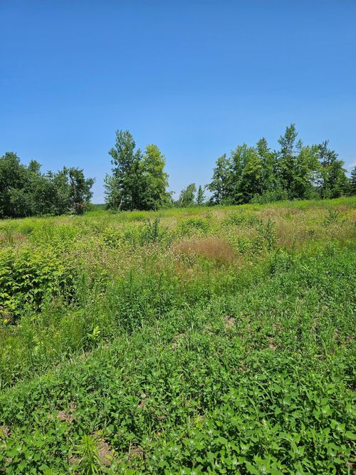 tbd Hooper Creek Loop, Baudette, MN, 56623 | Card Image