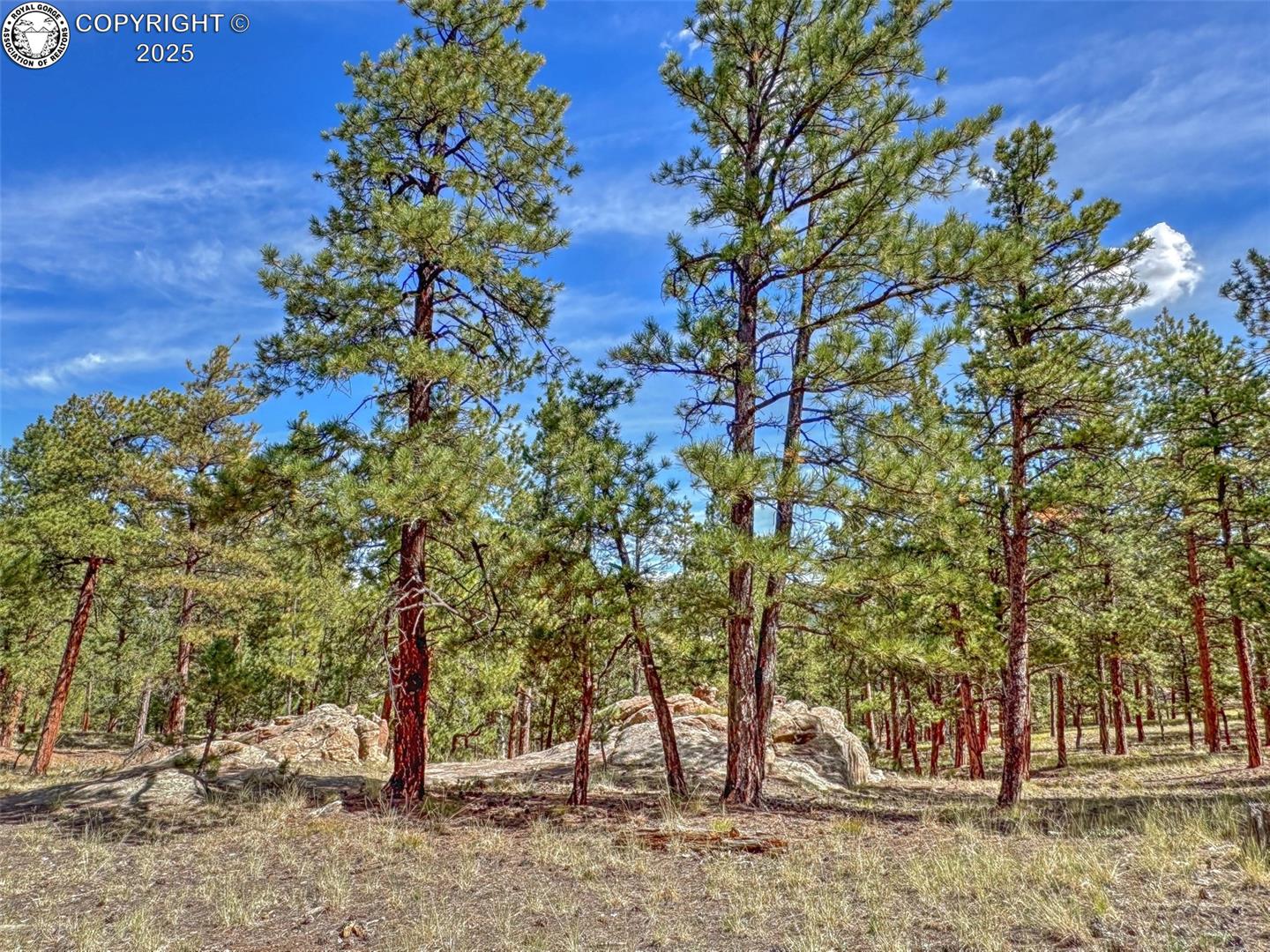 Residential in Westcliffe 4
