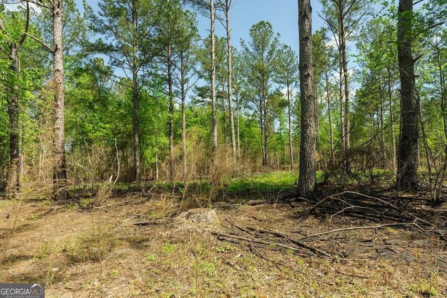 6053 Sun Hill Grange Rd, Home with 0 bedrooms, 0 bathrooms and null parking in Davisboro GA | Image 102