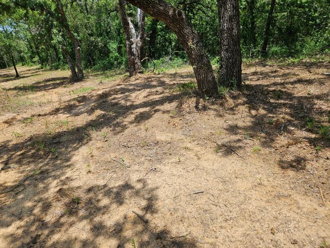 140 Rolling Bend Rd, Home with 0 bedrooms, 0 bathrooms and null parking in Alvord TX | Image 9