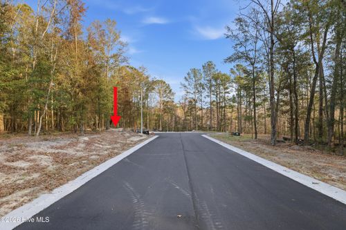 1041 Brooke Ridge Lane, Southport, NC, 28461 | Card Image