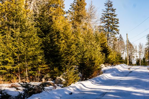 1042 Pine Cone Lane, Surry, ME, 04684 | Card Image