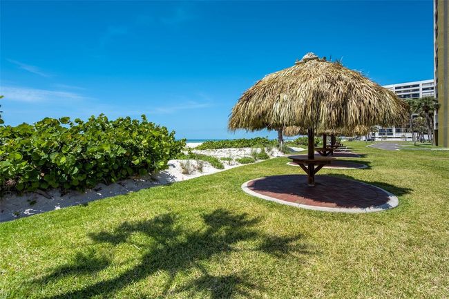 Tiki | Image 21
