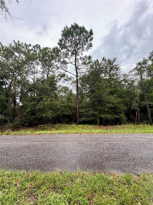 Lot 28 Sw 206th Cir, Dunnellon, FL, 34431 | Card Image