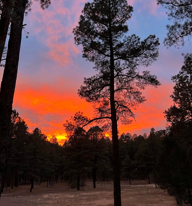367 Horseshoe Loop, House other with 2 bedrooms, 2 bathrooms and null parking in Jemez Springs NM | Image 51