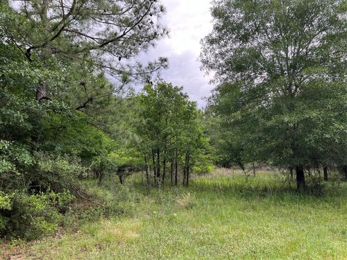 Tract 2 English Rd, Bedias, TX, 77831-3125 | Card Image