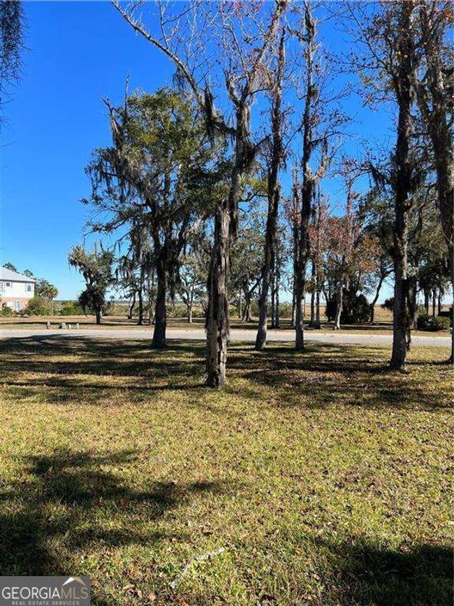 LOT 48 Maiden Creek Dr, Home with 0 bedrooms, 0 bathrooms and null parking in Waverly GA | Image 11