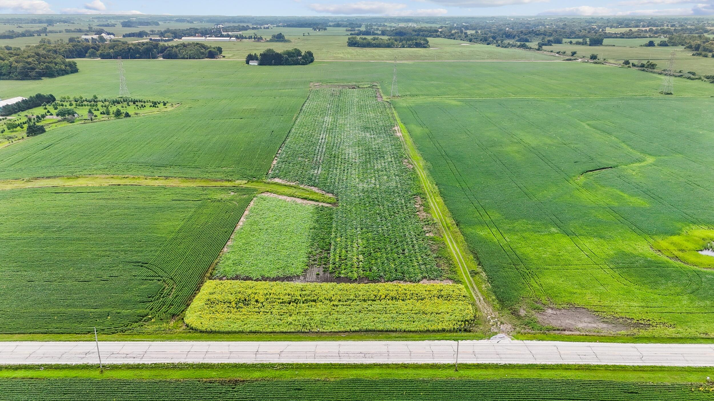 Land in Caledonia 2