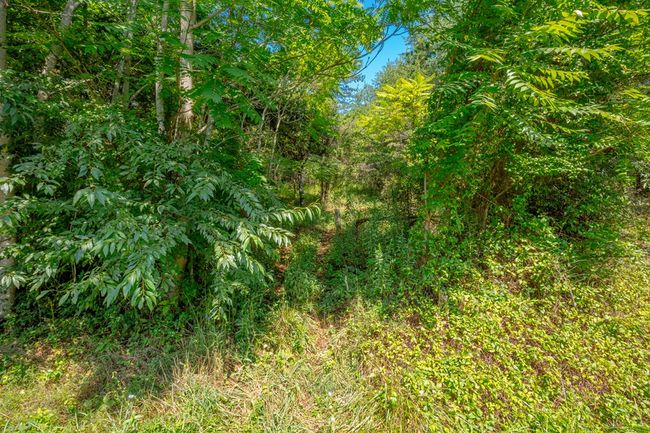 Lot 22 Lone Ash Rd, Home with 0 bedrooms, 0 bathrooms and null parking in Barren Springs VA | Image 5
