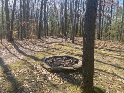 9019 John St, Mecosta, MI, 49332-9781 | Card Image