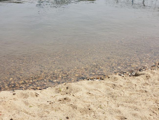 Sandy Swimming Area.jpg | Image 15