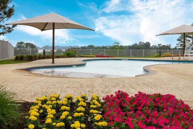 Sparkling neighborhood pool | Image 46