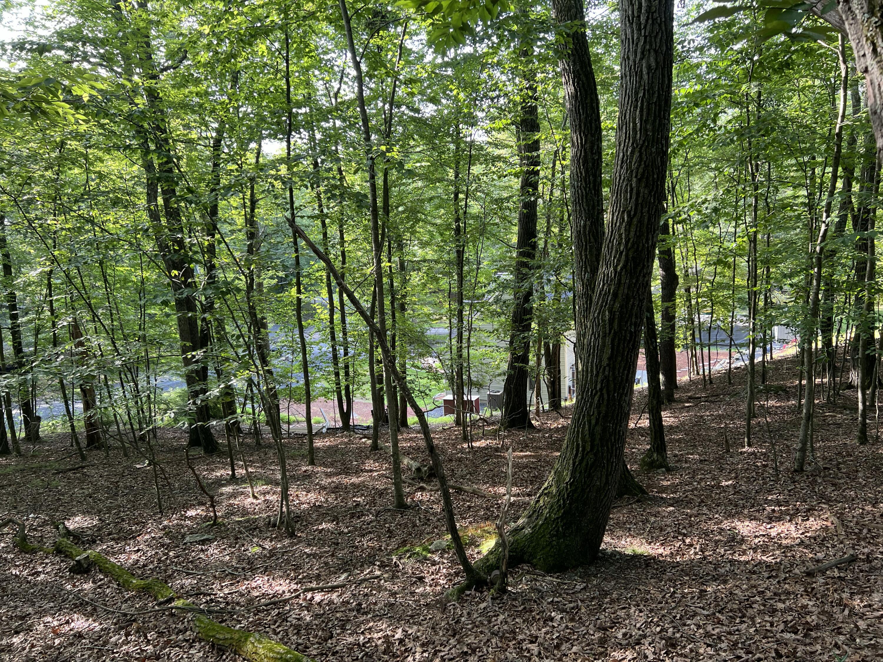 Land in East Stroudsburg 3